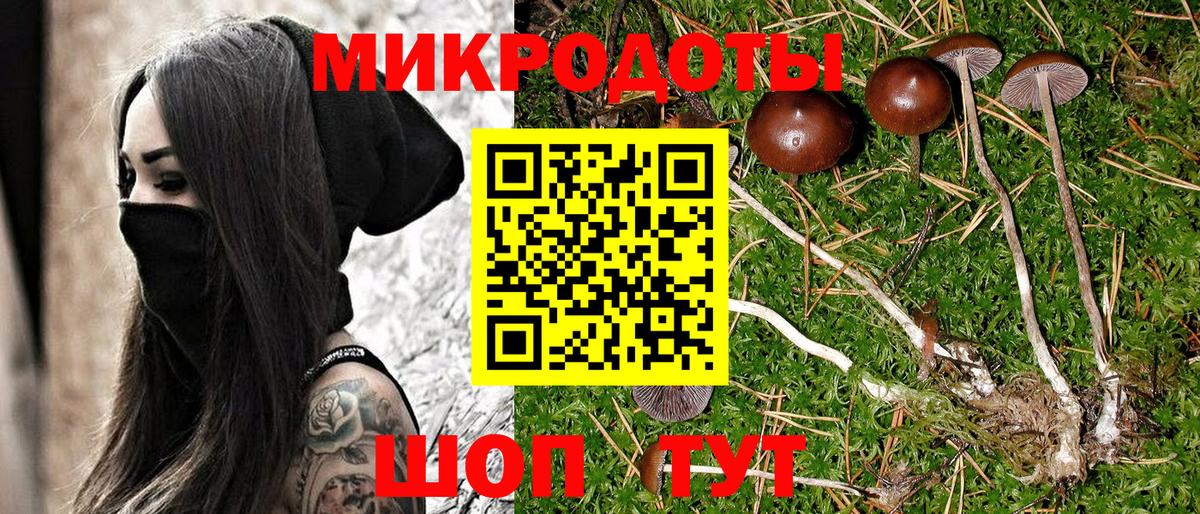 Борисоглебск  Псилоцибиновые грибы Psilocybine cubensis  Вход с VPN 